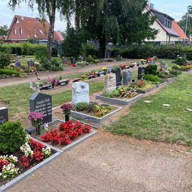 Friedhof Damgarten - Impressionen