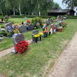 Friedhof Damgarten - Impressionen