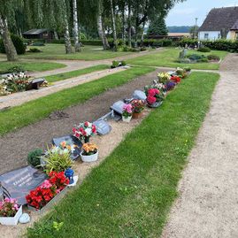 Friedhof Damgarten - Impressionen