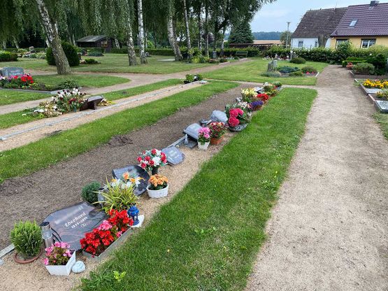 Friedhof Damgarten